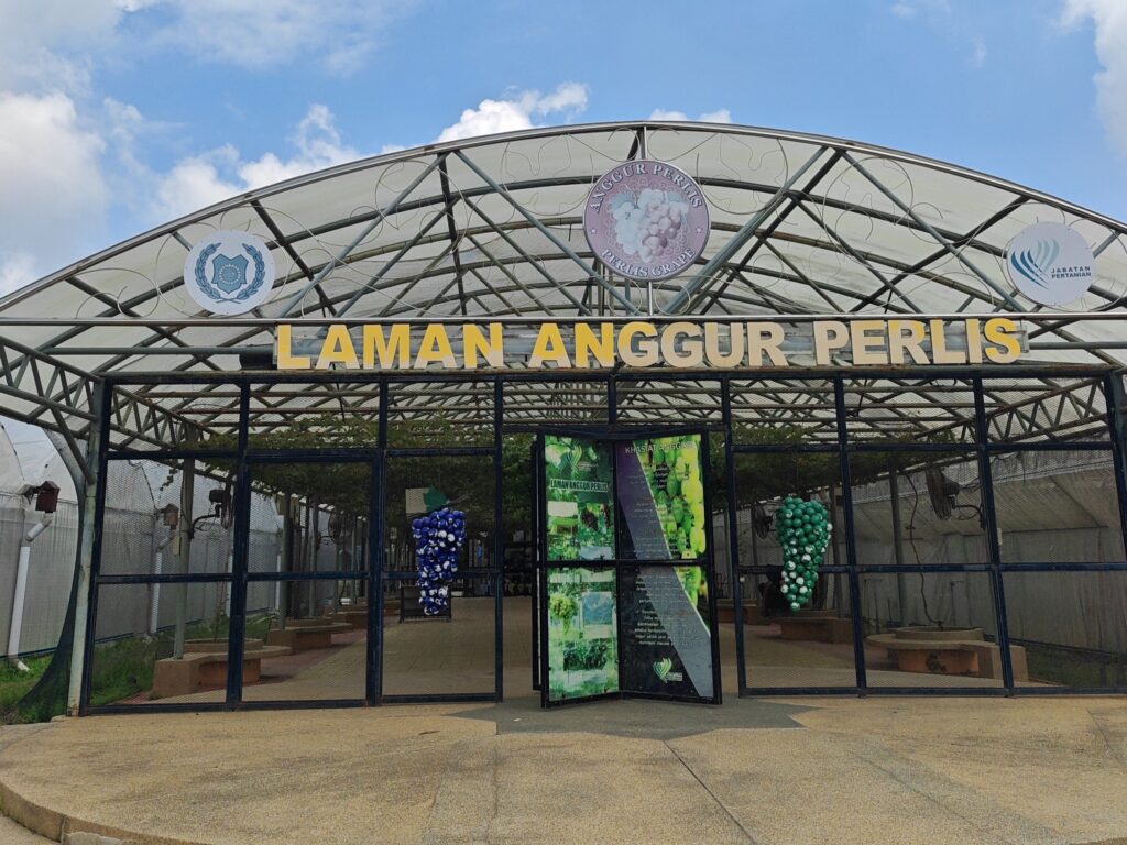 Keindahan Taman Anggur Perlis