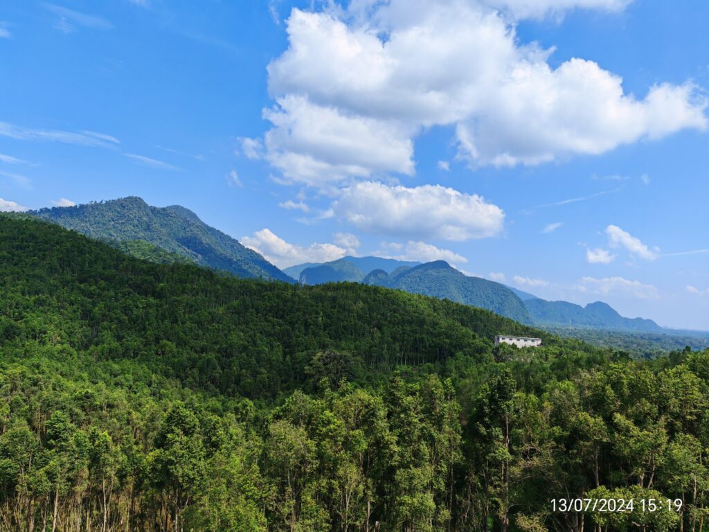 Menghirup Kesegaran di Lembah Teh Gaharu, Perak