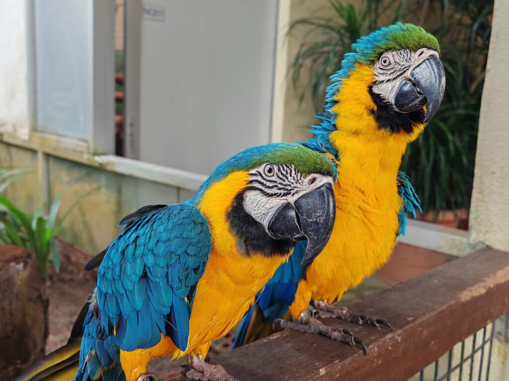 Langkawi Wildlife Park